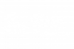 Live consulting branco logo editado Arthur - Copia